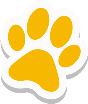 Dog laughing happily